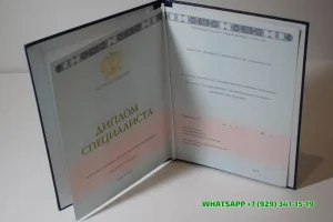 Купить диплом мастера спорта в Сургуте